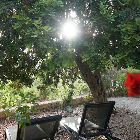 B&B Tulu Datca