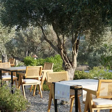 住宿加早餐酒店 Tulu Datca *